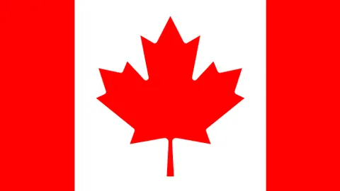 贝雷蒂尼与德米纳尔激情竞速，共驾赛车驰骋赛道