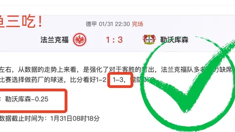 篮球盛宴，26战20胜，精心备战，专注每一刻，品质对决！