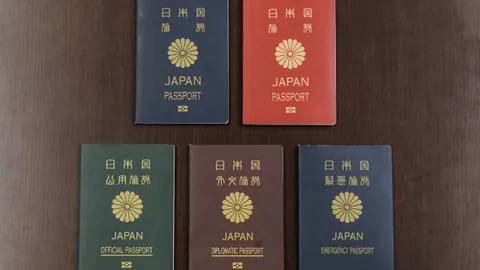 阿森纳客场险胜狼队1-0