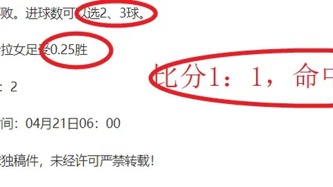 2025年中國籃球公開賽濟源分站，萬洋鋰電奪得桂冠